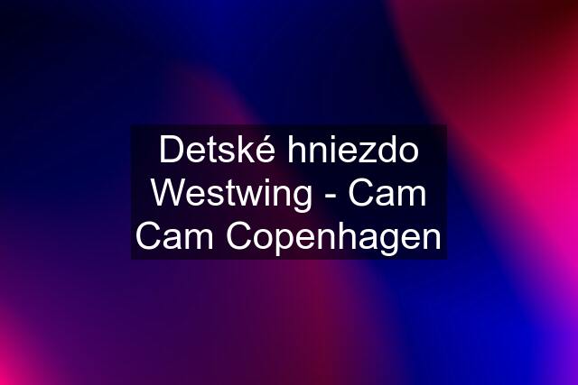 Detské hniezdo Westwing - Cam Cam Copenhagen