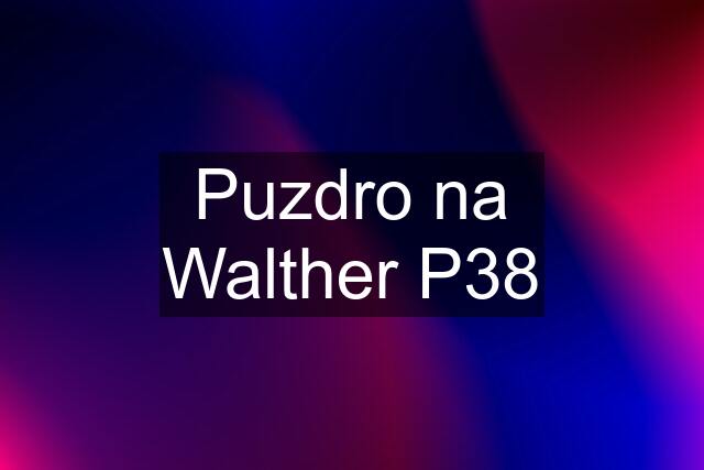 Puzdro na Walther P38