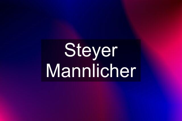 Steyer Mannlicher