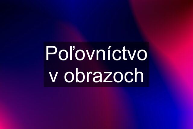 Poľovníctvo v obrazoch