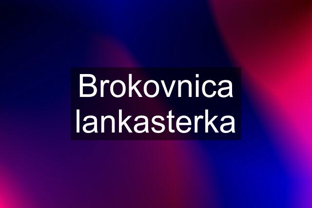 Brokovnica lankasterka