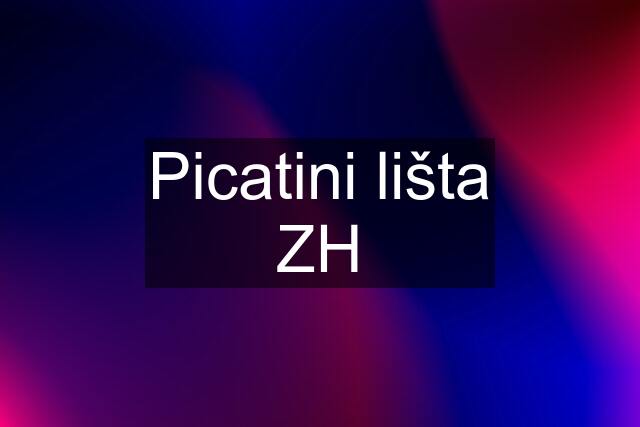 Picatini lišta ZH