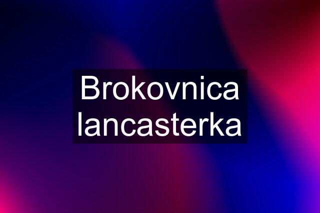 Brokovnica lancasterka