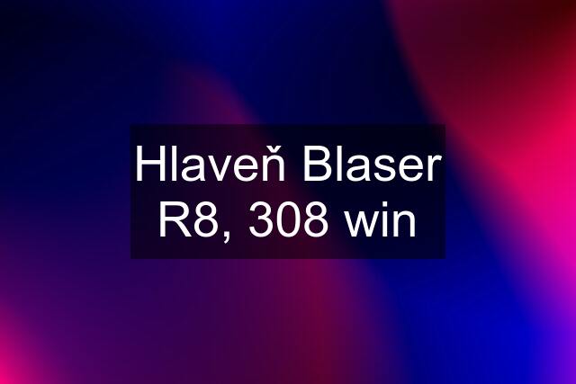 Hlaveň Blaser R8, 308 win