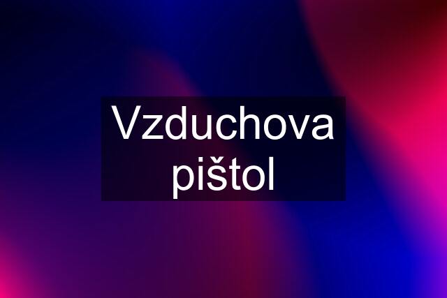 Vzduchova pištol