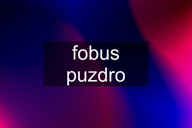 fobus puzdro