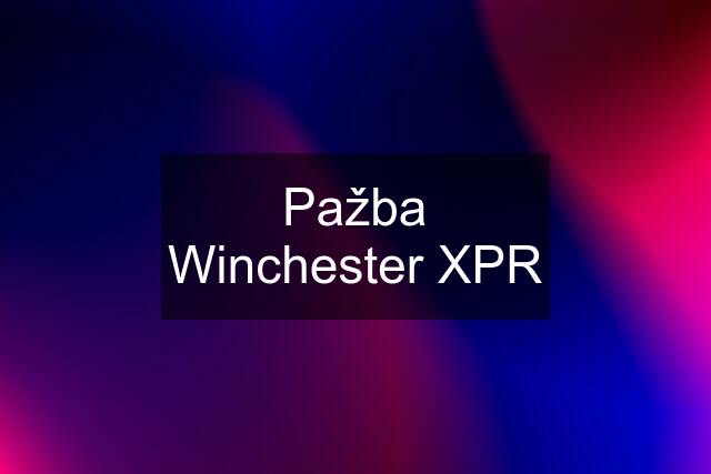 Pažba Winchester XPR