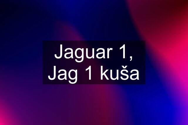 Jaguar 1, Jag 1 kuša