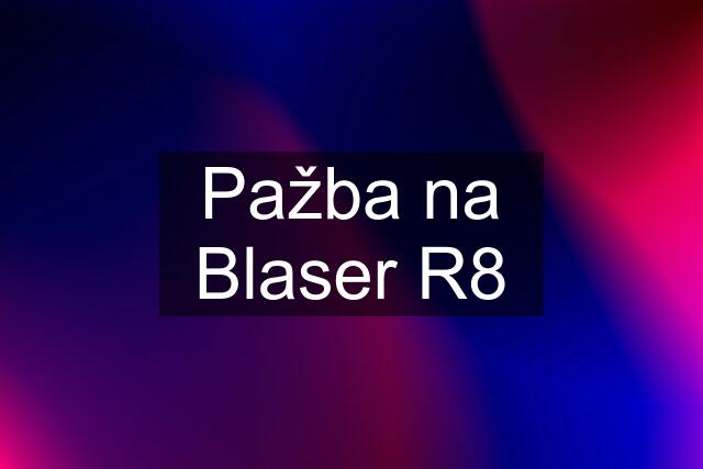 Pažba na Blaser R8