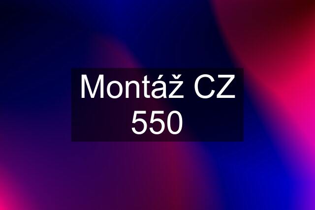 Montáž CZ 550