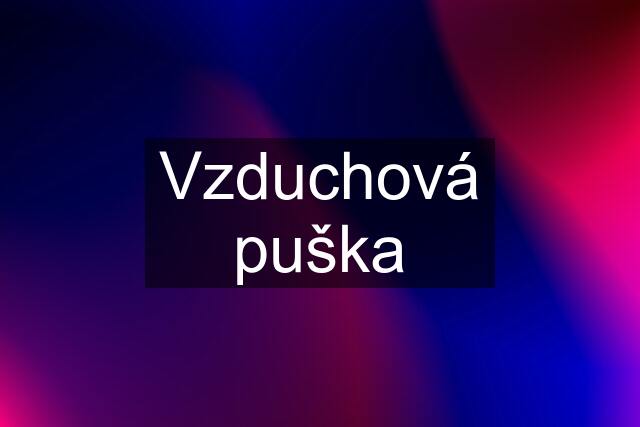 Vzduchová puška