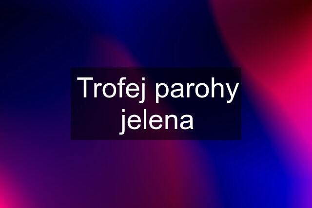 Trofej parohy jelena