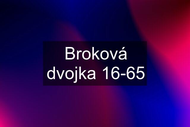 Broková dvojka 16-65