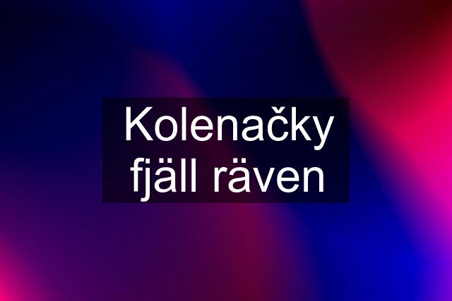 Kolenačky fjäll räven