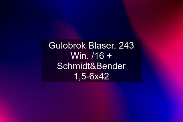Gulobrok Blaser. 243 Win. /16 + Schmidt&Bender 1,5-6x42
