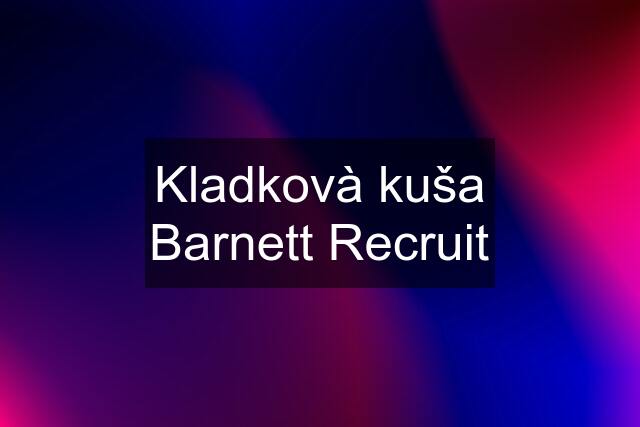 Kladkovà kuša Barnett Recruit