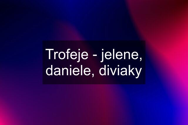 Trofeje - jelene, daniele, diviaky