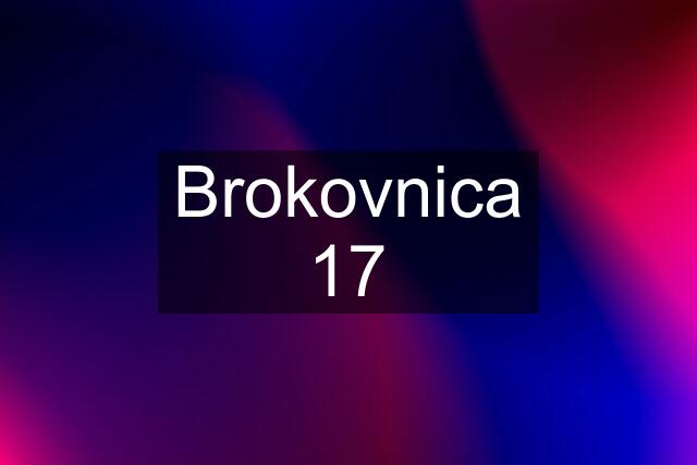 Brokovnica 17