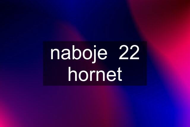 naboje  22 hornet