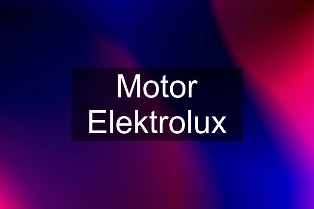 Motor Elektrolux