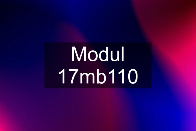 Modul 17mb110