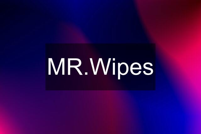 MR.Wipes