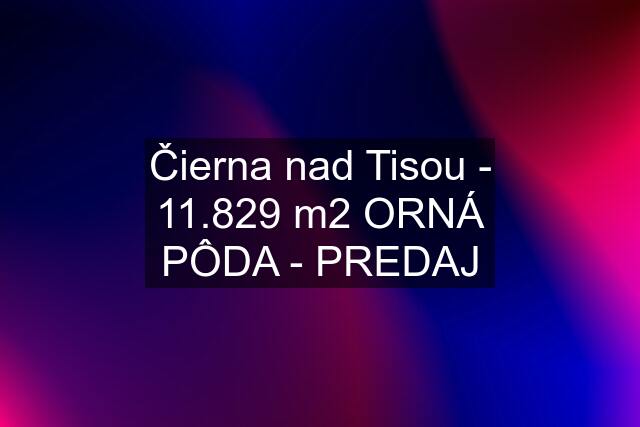 Čierna nad Tisou - 11.829 m2 ORNÁ PÔDA - PREDAJ