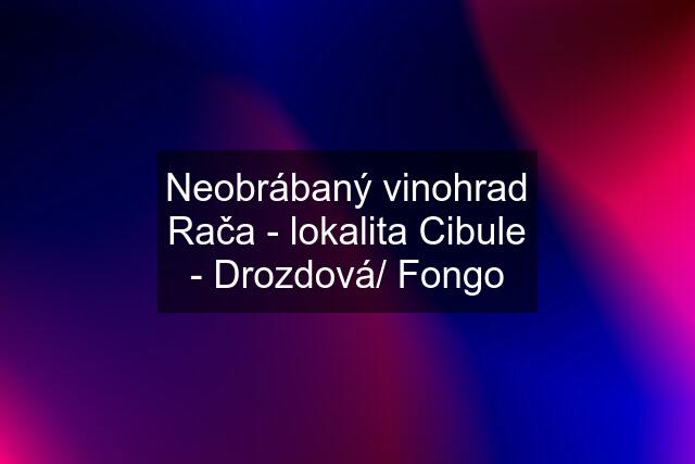 Neobrábaný vinohrad Rača - lokalita Cibule - Drozdová/ Fongo