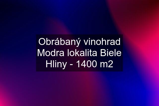 Obrábaný vinohrad Modra lokalita Biele Hliny - 1400 m2