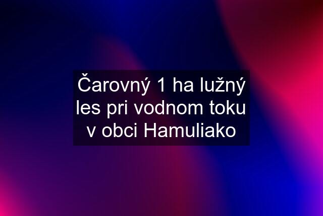 Čarovný 1 ha lužný les pri vodnom toku v obci Hamuliako