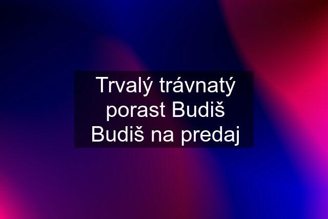 Trvalý trávnatý porast Budiš Budiš na predaj