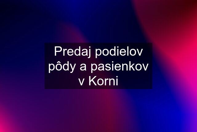 Predaj podielov pôdy a pasienkov v Korni