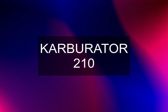 KARBURATOR 210