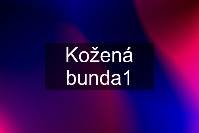 Kožená bunda1