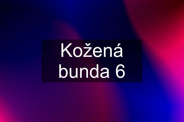 Kožená bunda 6