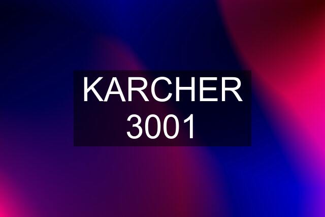 KARCHER 3001