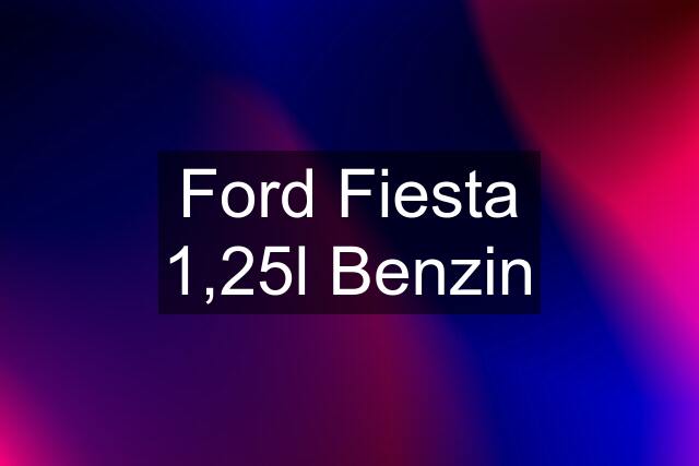 Ford Fiesta 1,25l Benzin