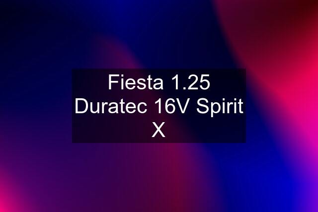 Fiesta 1.25 Duratec 16V Spirit X