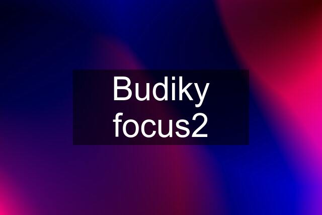 Budiky focus2