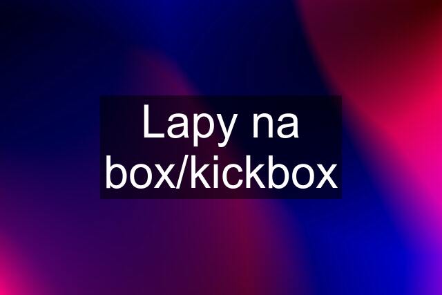 Lapy na box/kickbox