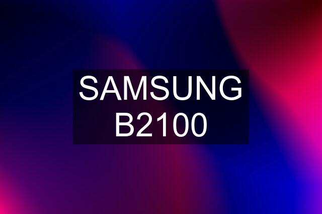 SAMSUNG B2100