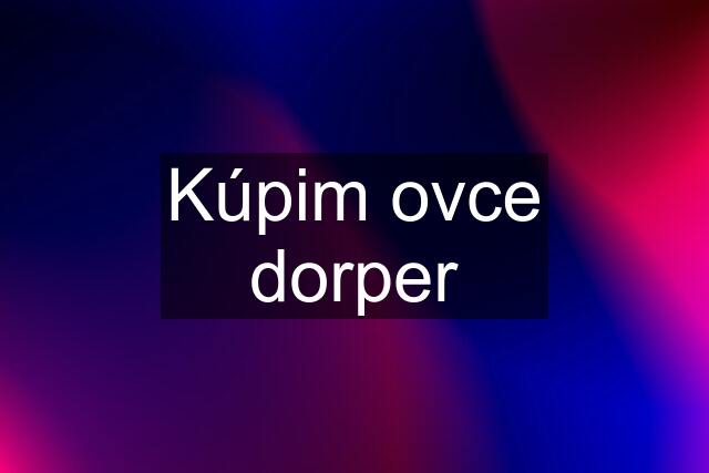 Kúpim ovce dorper