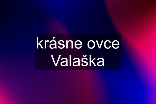 krásne ovce Valaška