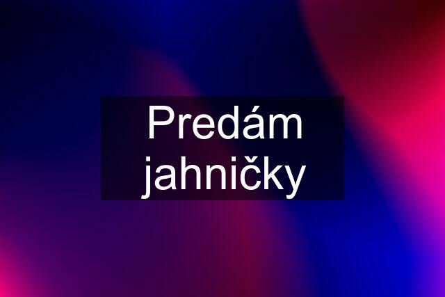 Predám jahničky