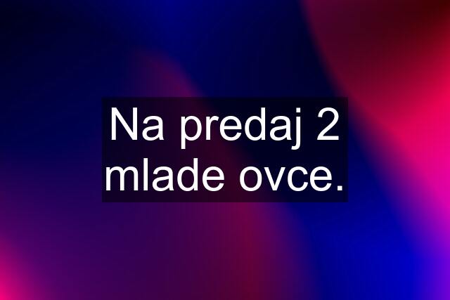 Na predaj 2 mlade ovce.