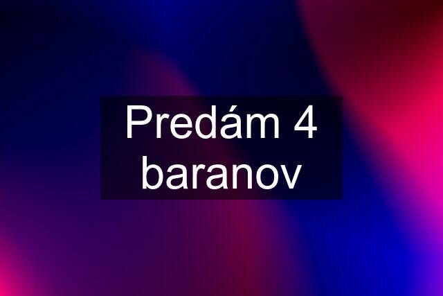 Predám 4 baranov