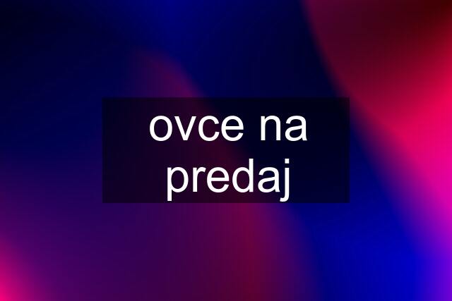 ovce na predaj