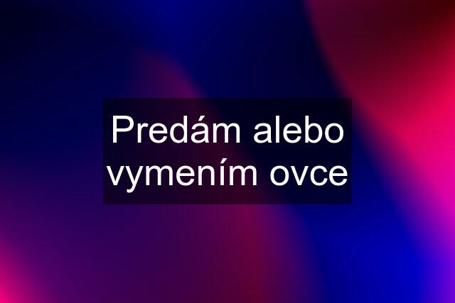 Predám alebo vymením ovce