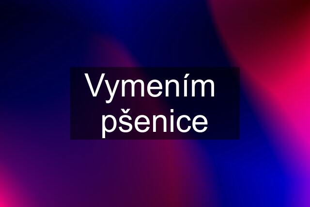 Vymením  pšenice