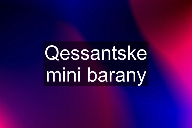 Qessantske mini barany